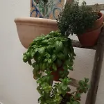 Апартаменты Il Terrazzino Sul Kemonia