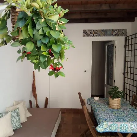 Il Terrazzino Sul Kemonia 巴勒莫